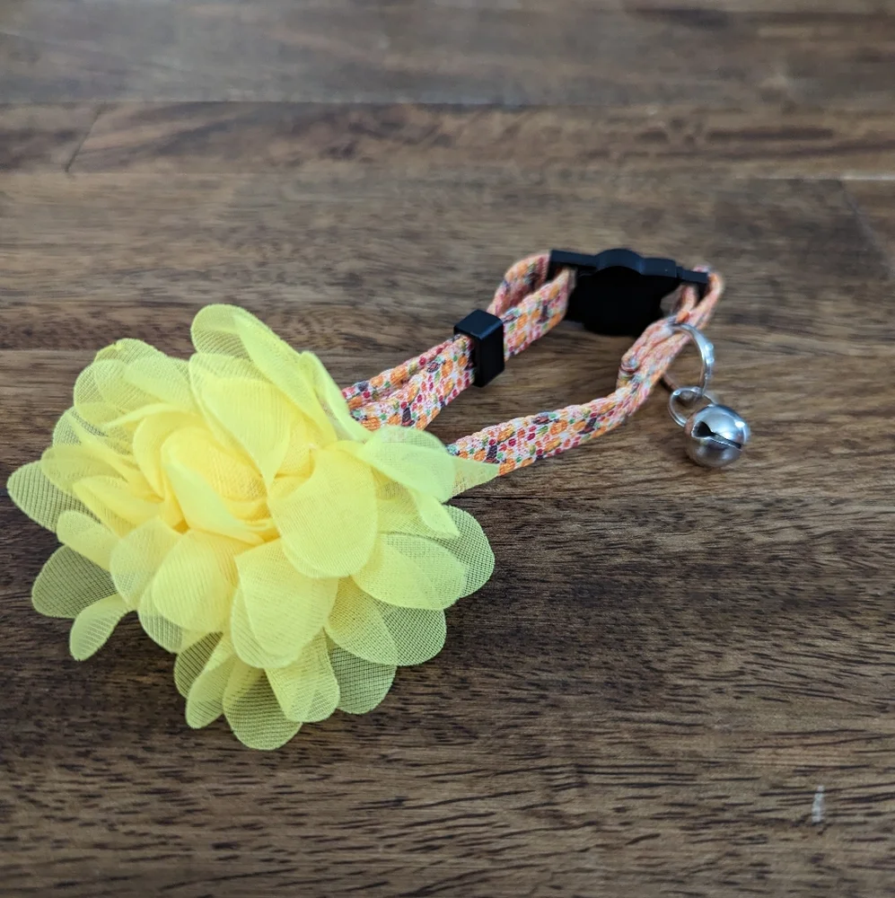 *NWOT* Fall Kitten/Cat Collar Bundle